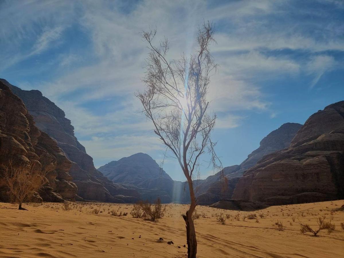 Wadi Rum Oscar Camp Екстер'єр фото